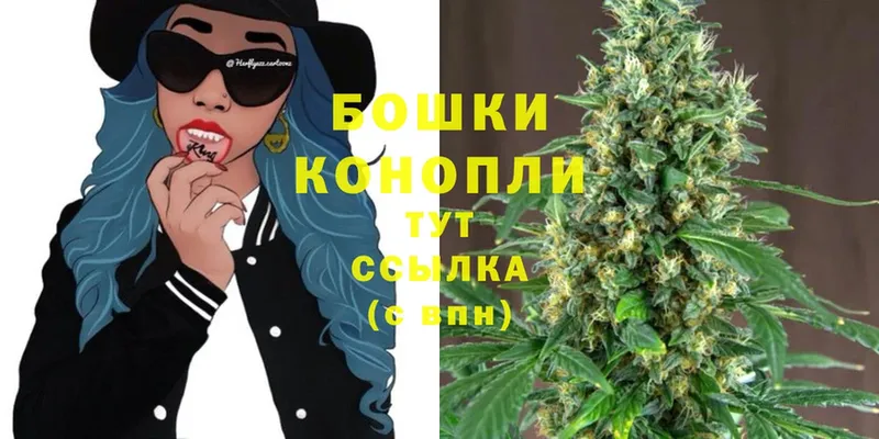 Бошки Шишки Bruce Banner  купить наркотик  Лодейное Поле 